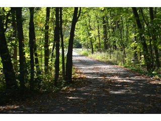 Property photo 39 - REAL ESTATE AUCTION IN ALLEN CO., INDIANA